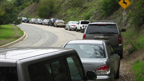 Residents are asking the city to improve traffic conditions along Will Rogers State Park Road. On weekends, many visitors park on the road to avoid the $12 parking fee at Will Rogers State Historic Park.